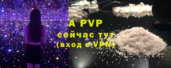 бошки Арсеньев