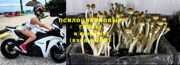 бошки Арсеньев