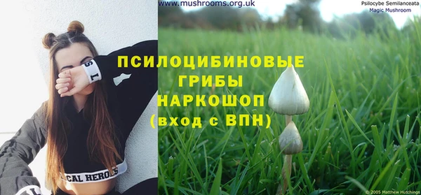 а пвп мука Армянск