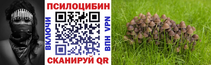 Псилоцибиновые грибы ЛСД  купить закладку  Уржум 